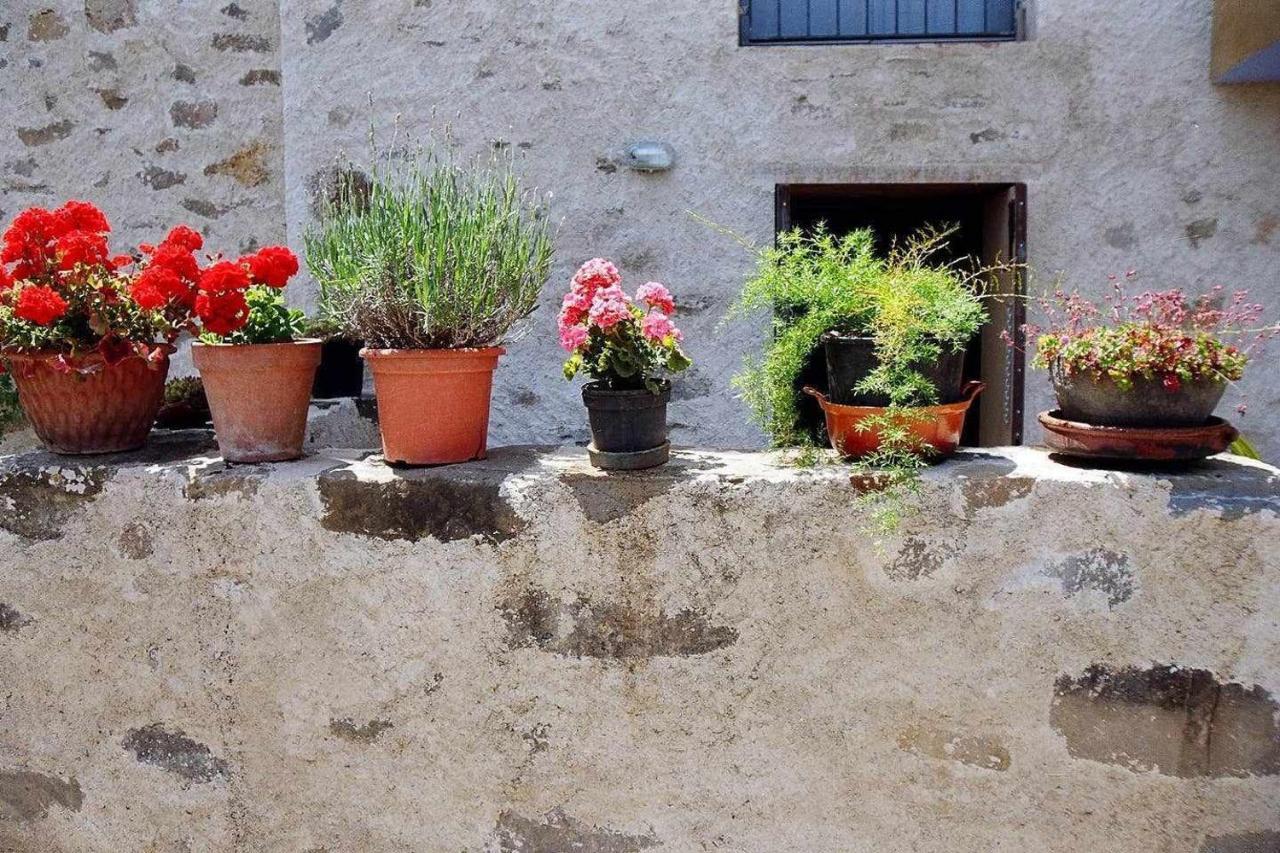 Rectoria De Castellar Villa La Vall de Bianya Dış mekan fotoğraf