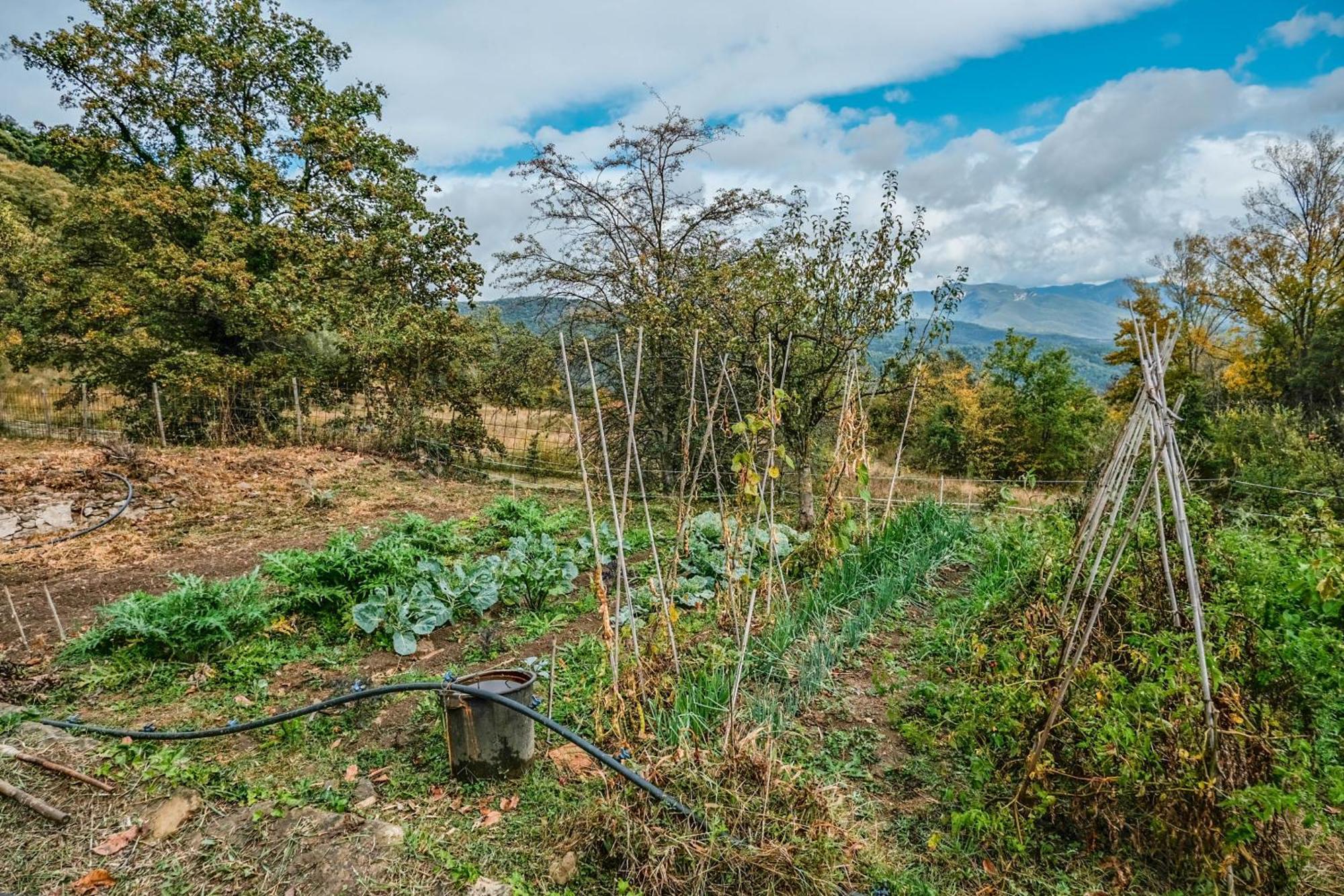 Rectoria De Castellar Villa La Vall de Bianya Dış mekan fotoğraf